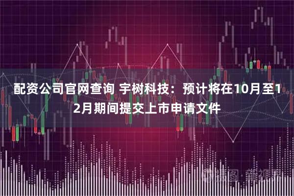 配资公司官网查询 宇树科技：预计将在10月至12月期间提交上市申请文件
